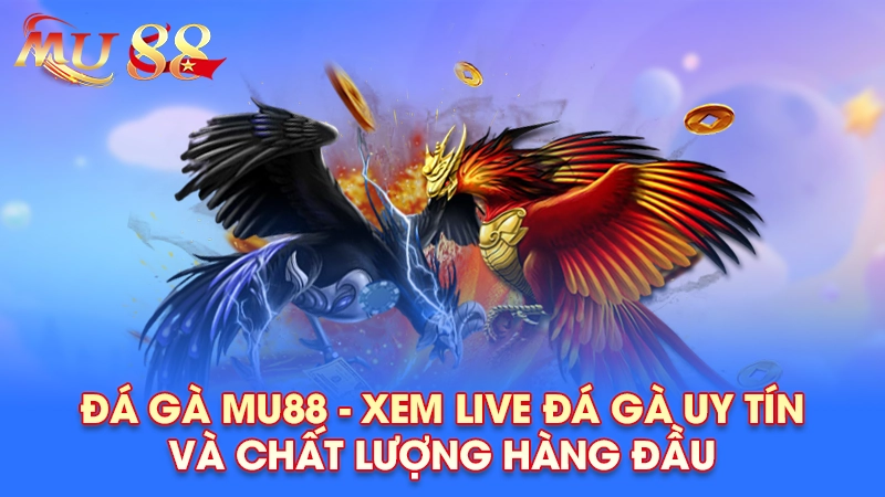 Giới thiệu về sảnh đá gà MU88
