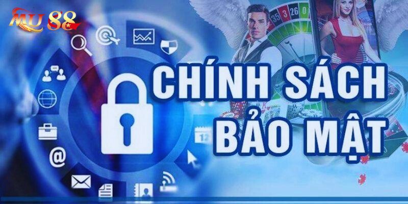 Quyền lợi và nghĩa vụ của người chơi