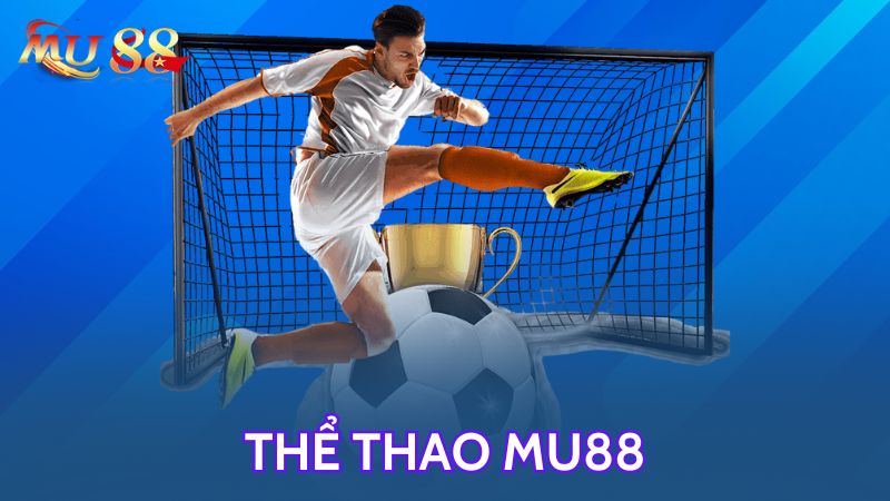 Tổng quan về sảnh thể thao MU88